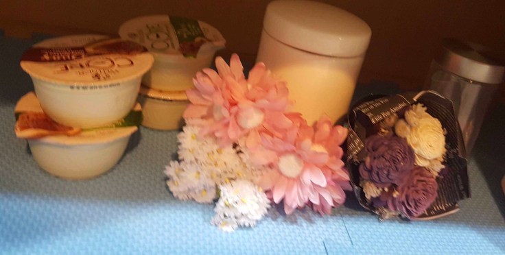 至給天堂的老貓，感謝你22年陪伴~                (內有骨骸照片，若介意~)