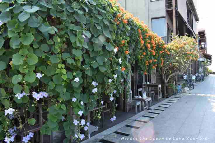 【泰國★清康】~彷彿世界最遠的小咖啡廳 ，在清康湄公河邊，遠眺對岸寮國的木屋咖啡廳~