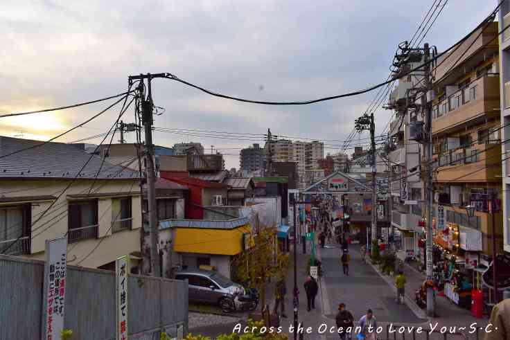 【Japan★Tokyo】充滿日式屋子、貓、小巷弄的下町風情