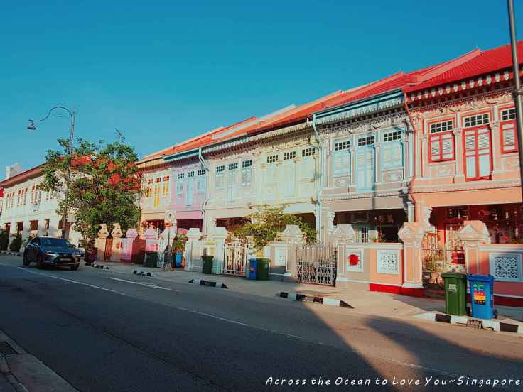 【Singapore★加東】彩色娘惹建築物、娘惹餐廳chilli padi nonya restaurant’s(辣椒香)