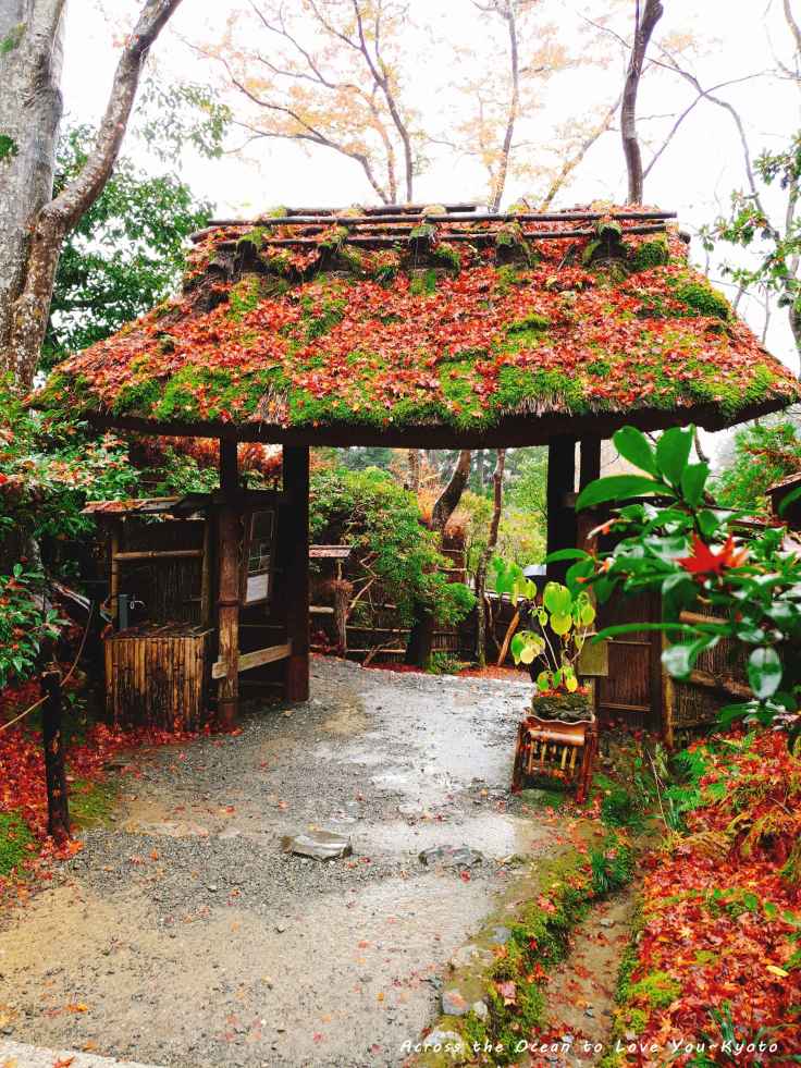 【Japan★Kyoto】雨天的嵐山~⛈淒美的址王寺