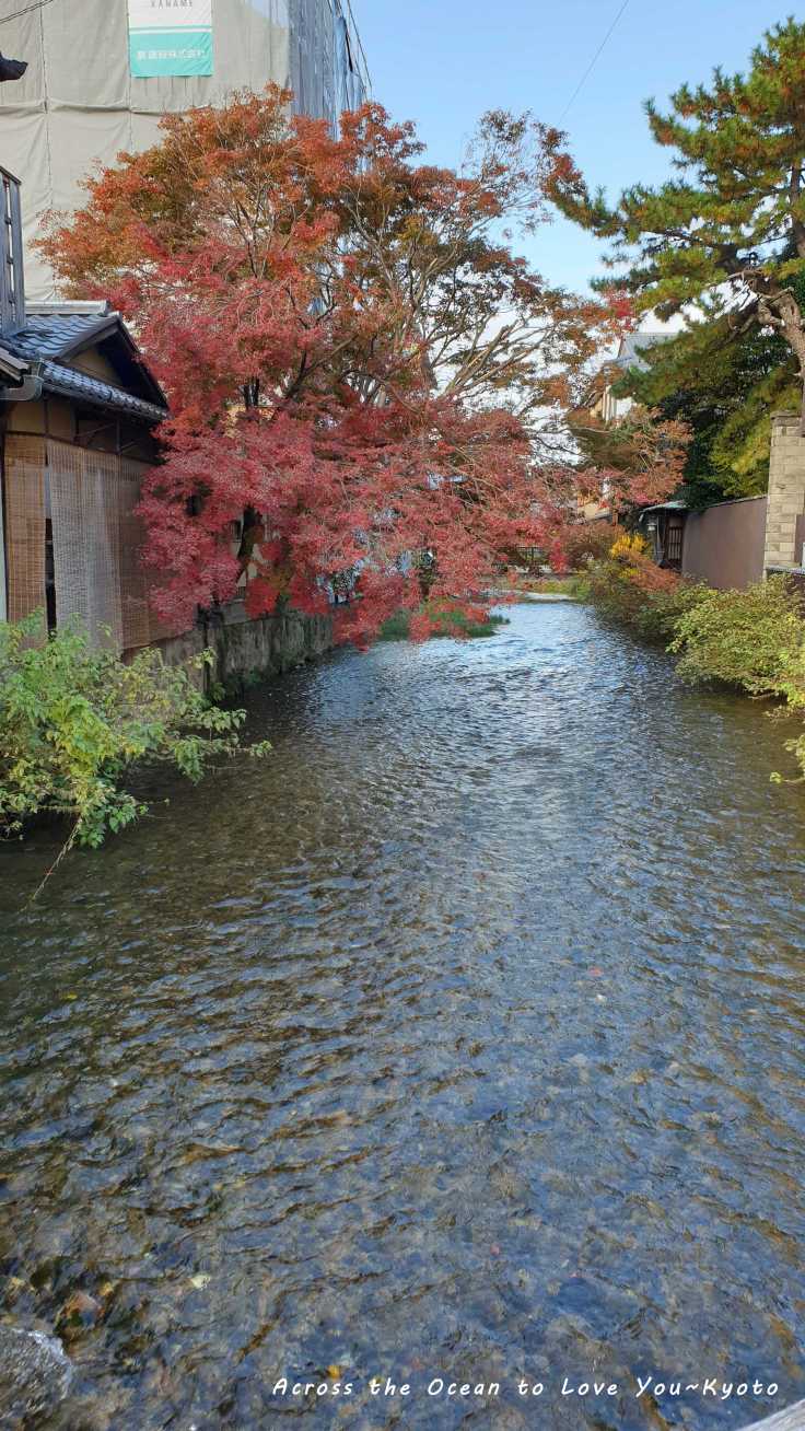 【Japan★Kyoto】🇯🇵日與夜晚時分我迷失在址園的巷弄裡，感受著京都特浪漫花街氣氛