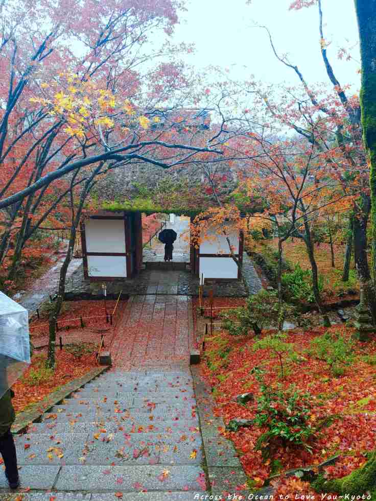 【Japan★Kyoto】雨天的嵐山~⛈獨享常寂光寺與世隔絕的美