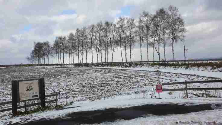 【北海道★Sapporo】 ✈北海道郊區一日行程🐧🦩🐻‍❄️旭川動物園🌲🌳七星之樹、Ken & Mary之樹、四季彩之丘、富良野森林精靈露台🎄☃❄